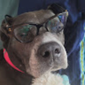 Meet your Posher, Isabella